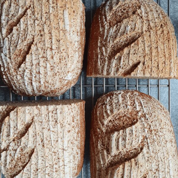 Teff Sourdough